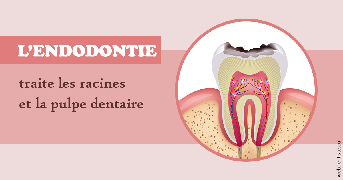 https://dr-ohana-gabriel.chirurgiens-dentistes.fr/L'endodontie 2
