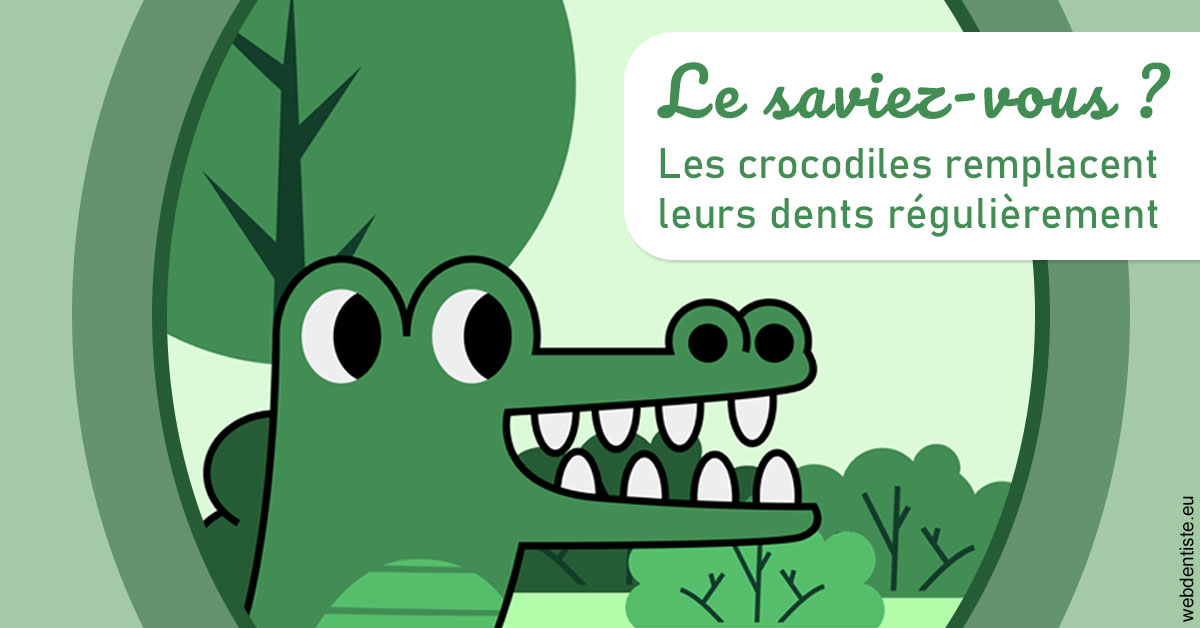 https://dr-ohana-gabriel.chirurgiens-dentistes.fr/Crocodiles 2