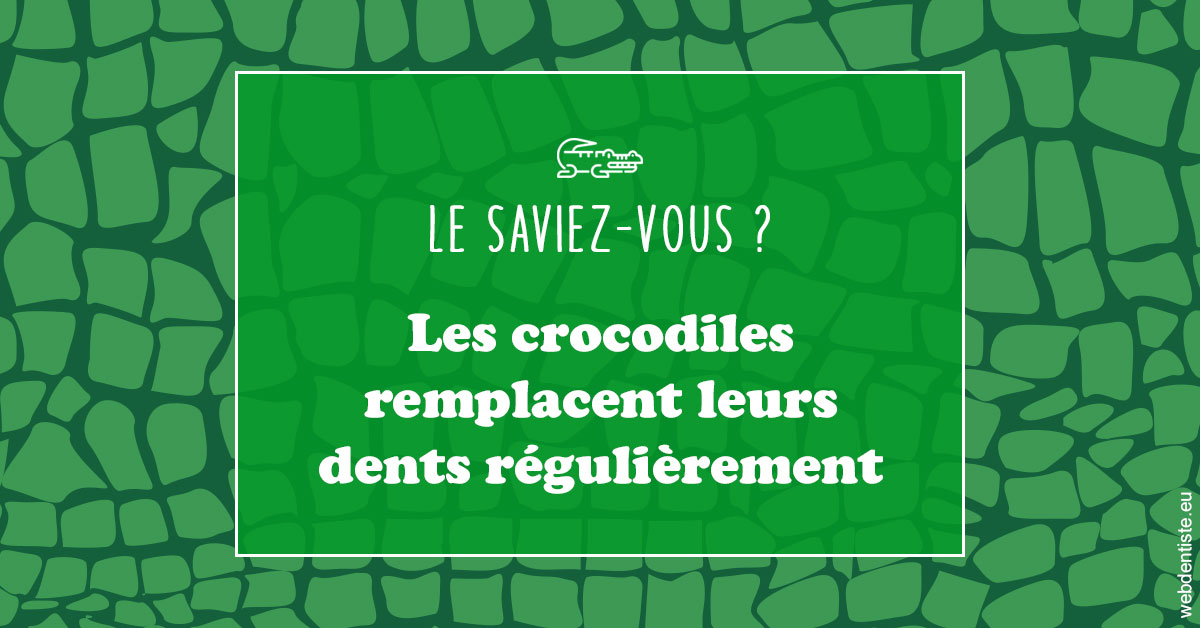 https://dr-ohana-gabriel.chirurgiens-dentistes.fr/Crocodiles 1